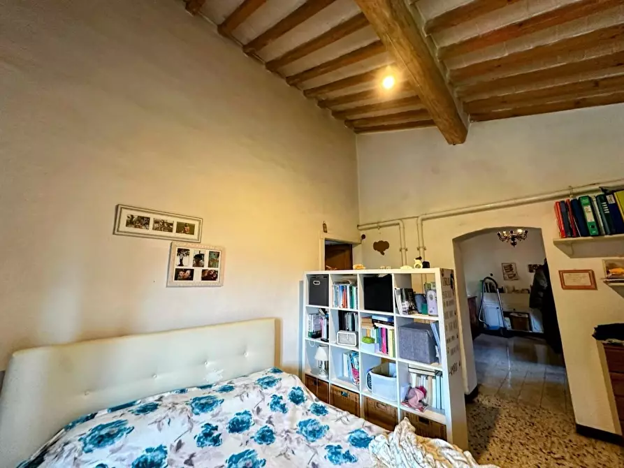 Immagine 15 di Casa colonica in vendita  a Suvereto