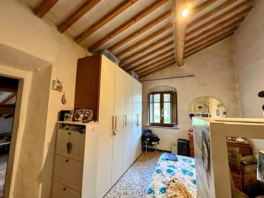 Immagine 13 di Casa colonica in vendita  a Suvereto