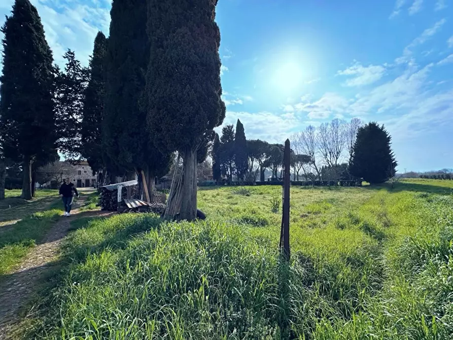 Immagine 33 di Casa colonica in vendita  a Suvereto