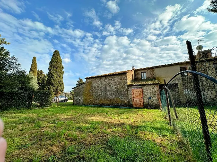 Immagine 37 di Casa colonica in vendita  a Suvereto