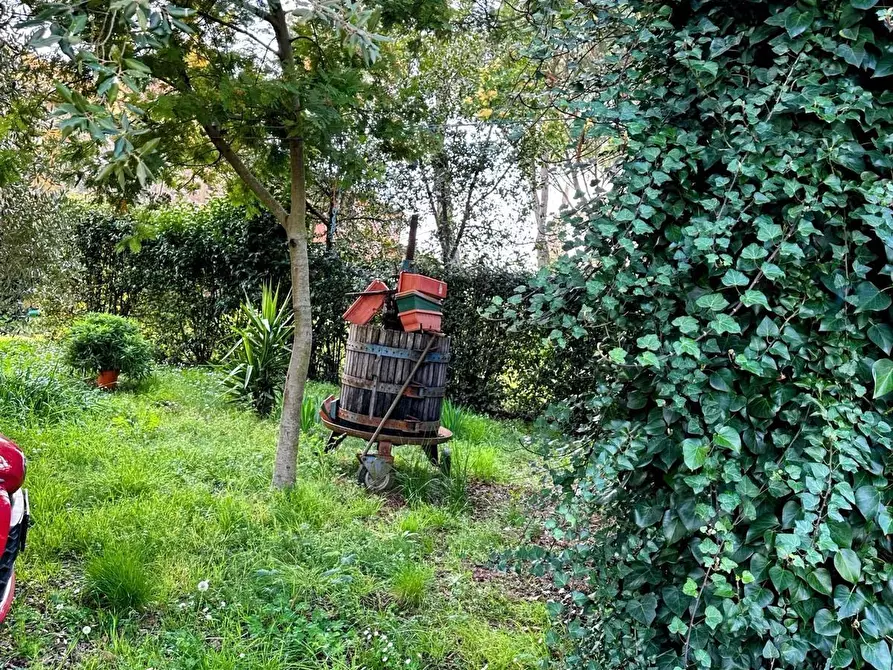 Immagine 31 di Casa colonica in vendita  a Suvereto