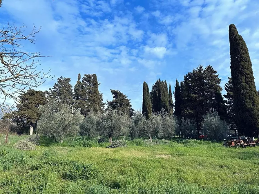 Immagine 35 di Casa colonica in vendita  a Suvereto