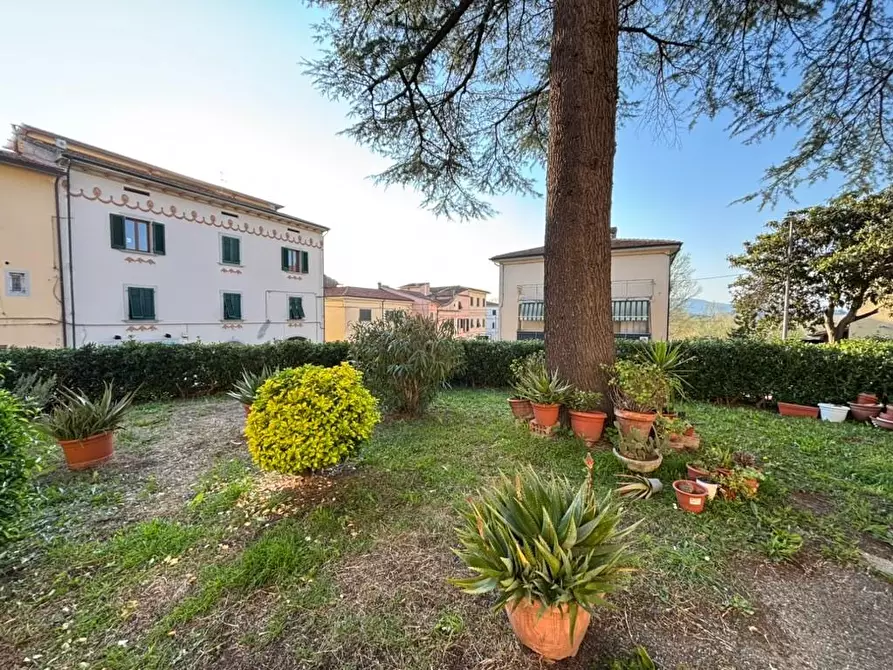 Immagine 22 di Appartamento in vendita  a Pontedera