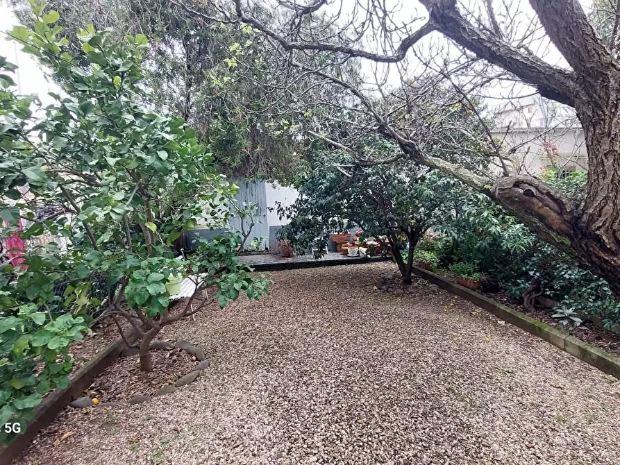 Immagine 1 di Appartamento in vendita  a Livorno