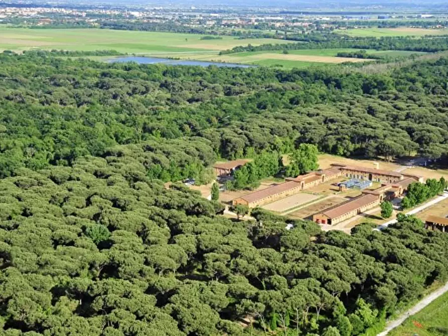 Immagine 1 di Appartamento in vendita  a Pisa