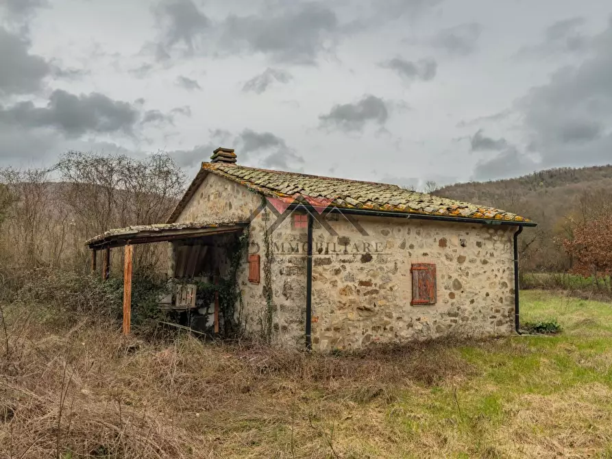 Immagine 5 di Casa indipendente in vendita  a Castelnuovo Val Di Cecina