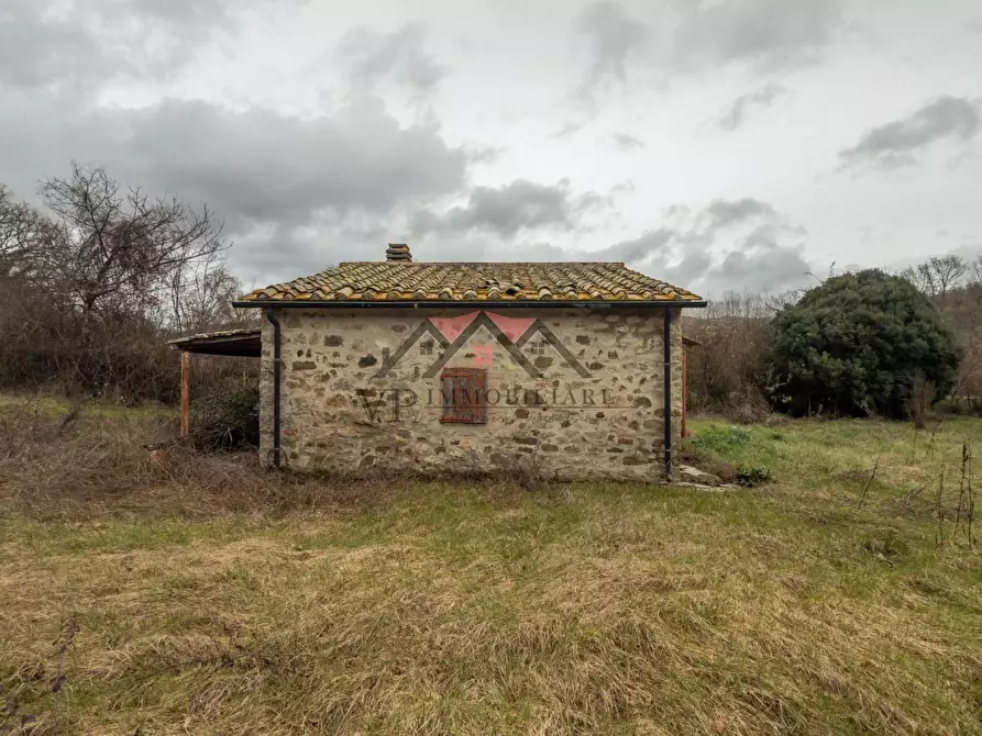 Immagine 4 di Casa indipendente in vendita  a Castelnuovo Val Di Cecina