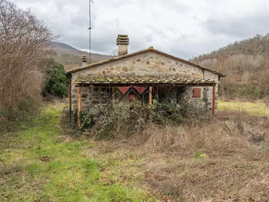 Immagine 6 di Casa indipendente in vendita  a Castelnuovo Val Di Cecina