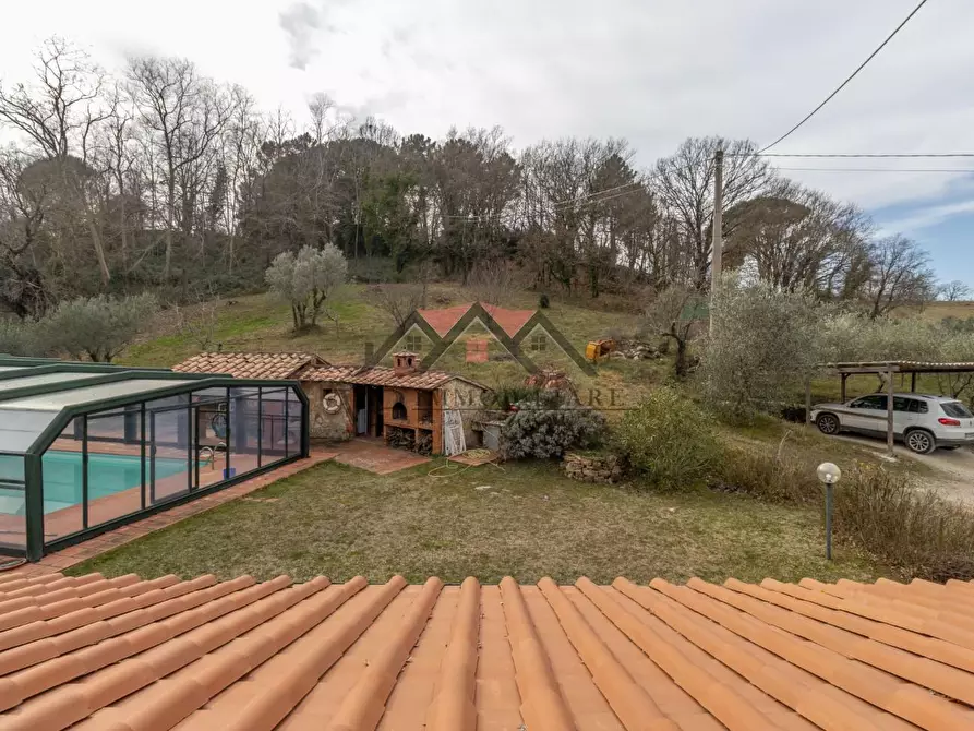Immagine 42 di Casa indipendente in vendita  a Castelnuovo Val Di Cecina