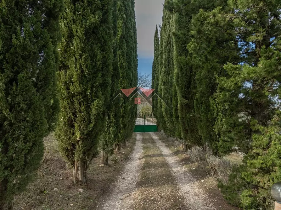 Immagine 13 di Casa indipendente in vendita  a Castelnuovo Val Di Cecina