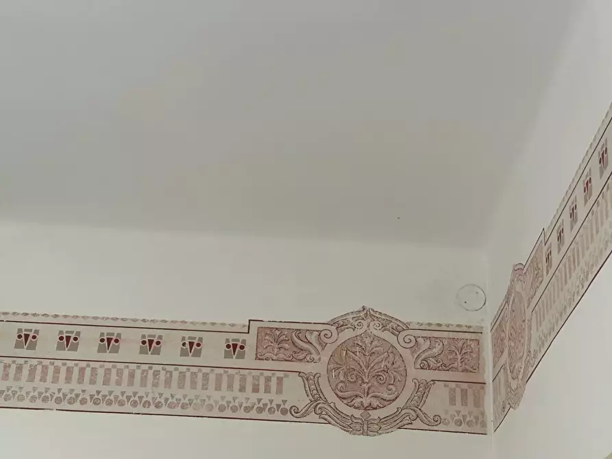 Immagine 7 di Villa in vendita  a Carrara