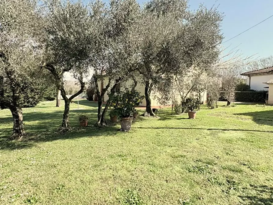 Immagine 22 di Villa in vendita  a Lucca