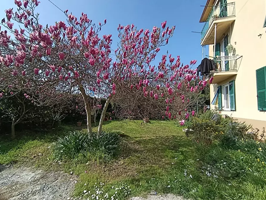 Immagine 27 di Appartamento in vendita  a Santo Stefano Di Magra
