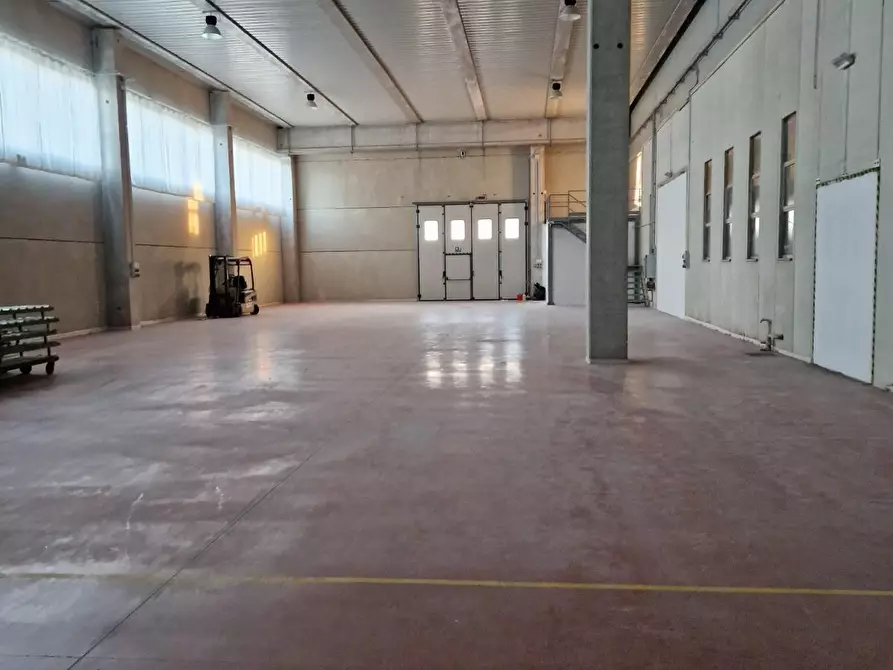 Immagine 7 di Attività artigianale in affitto  a Casciana Terme Lari