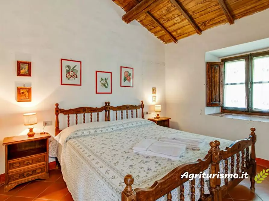 Immagine 13 di Agriturismo in vendita  a Castelfranco Piandiscò