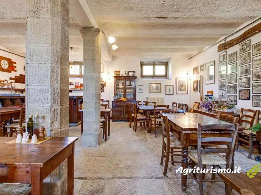 Immagine 15 di Agriturismo in vendita  a Castelfranco Piandiscò