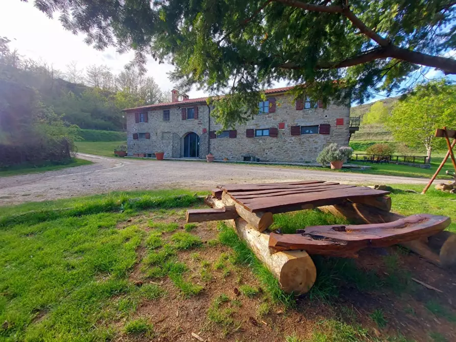 Immagine 3 di Agriturismo in vendita  a Castelfranco Piandiscò