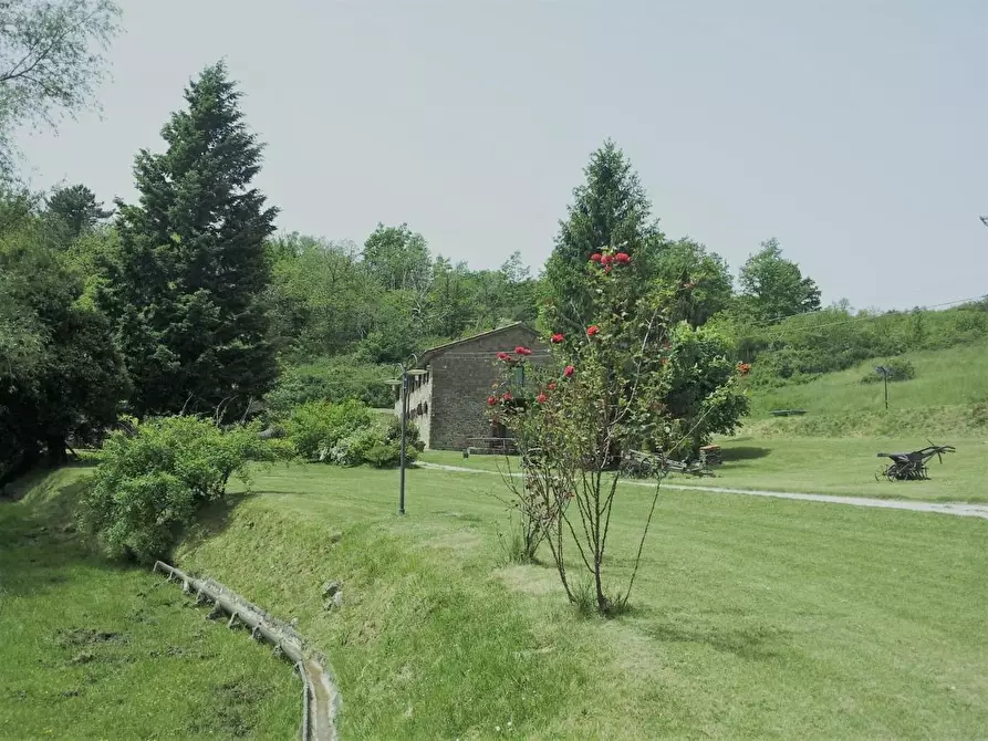 Immagine 2 di Agriturismo in vendita  a Castelfranco Piandiscò