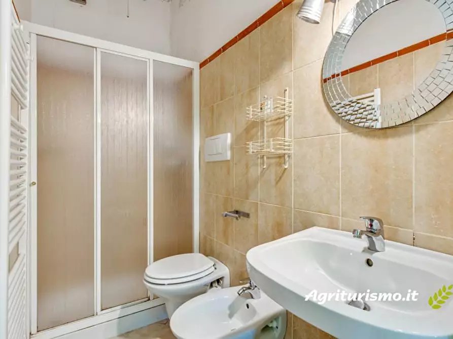 Immagine 14 di Agriturismo in vendita  a Castelfranco Piandiscò