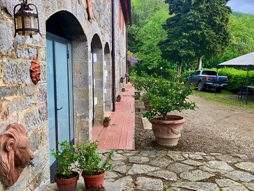 Immagine 4 di Agriturismo in vendita  a Castelfranco Piandiscò
