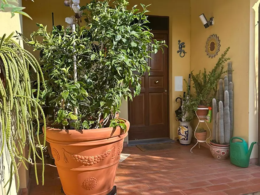 Immagine 37 di Villetta a schiera in vendita  a Capannori