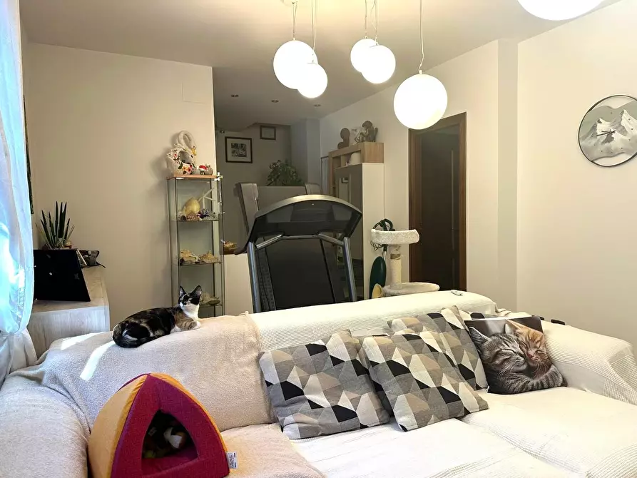 Immagine 7 di Villetta a schiera in vendita  a Capannori