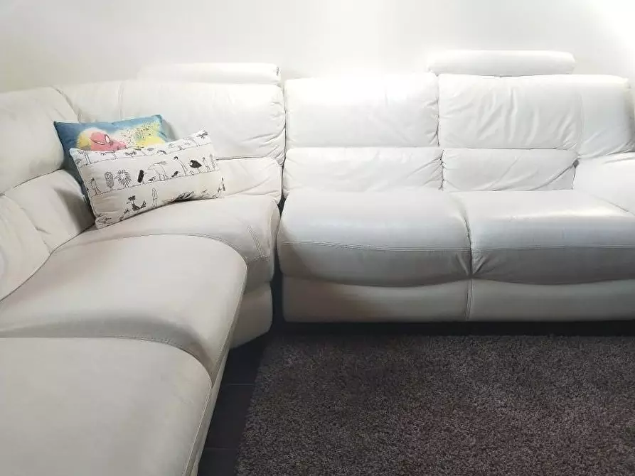 Immagine 22 di Terratetto in vendita  a Massa