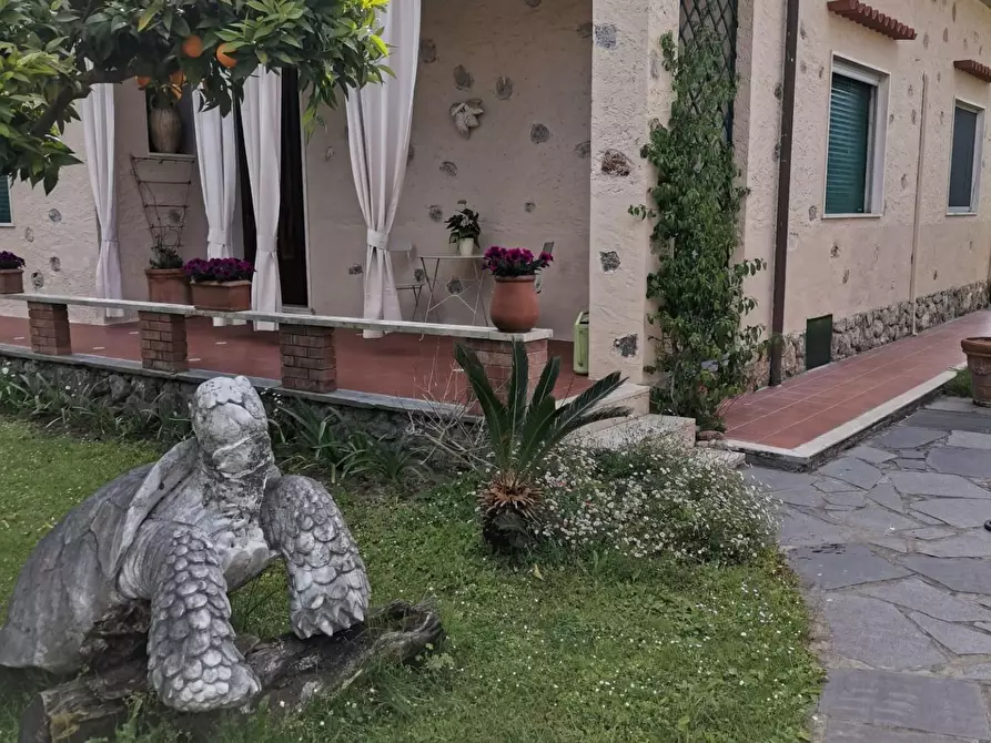 Immagine 28 di Villa in affitto  a Forte Dei Marmi