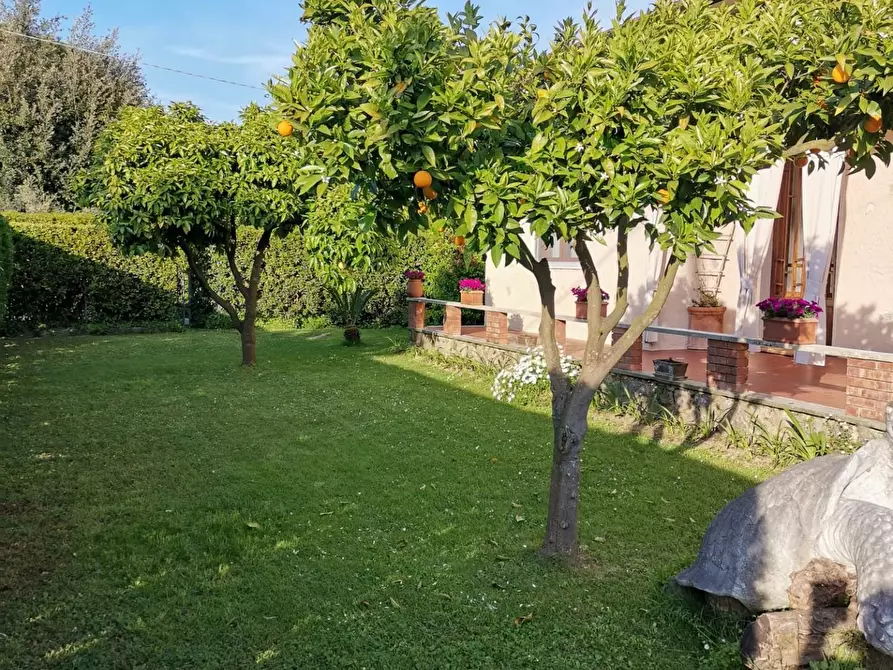 Immagine 14 di Villa in affitto  a Forte Dei Marmi