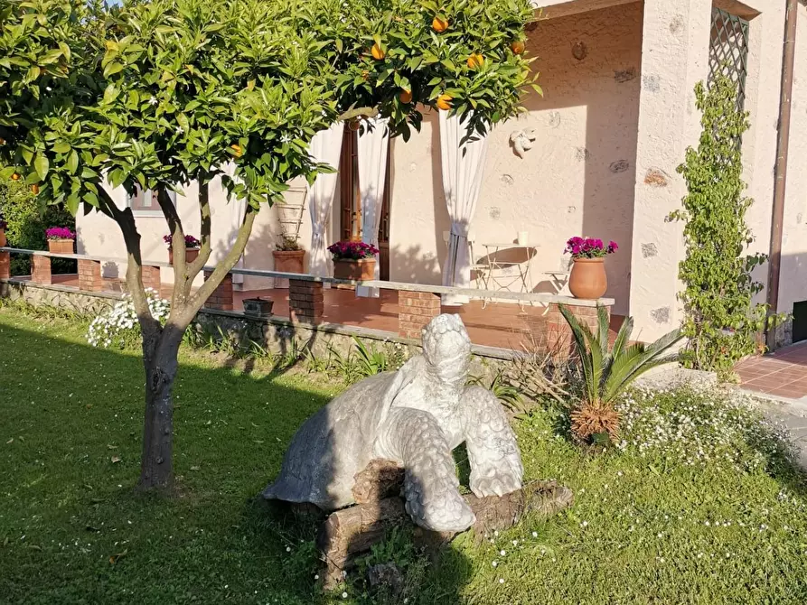 Immagine 1 di Villa in affitto  a Forte Dei Marmi