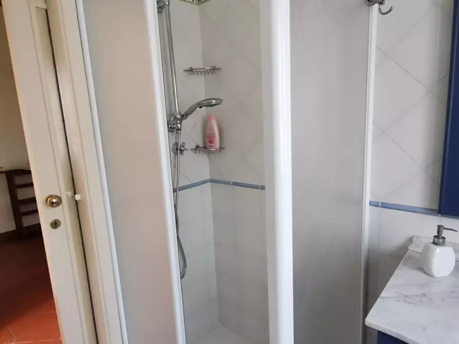 Immagine 17 di Villa in affitto  a Forte Dei Marmi