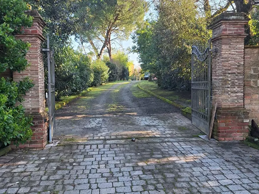 Immagine 6 di Appartamento in affitto  a Montopoli In Val D'arno