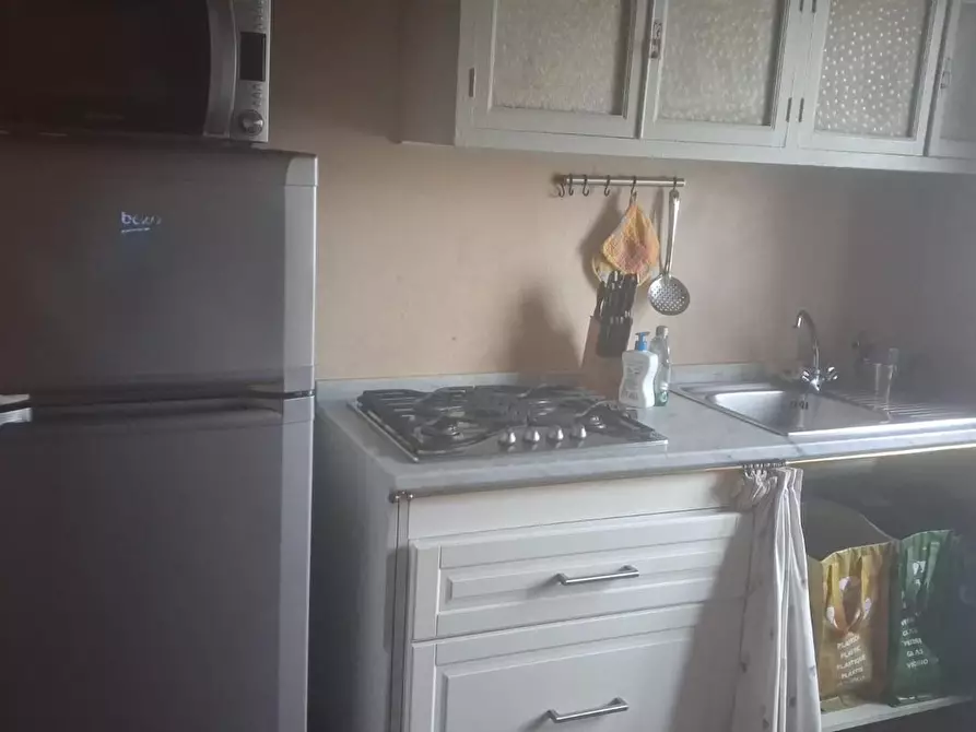 Immagine 11 di Appartamento in affitto  a Lucca