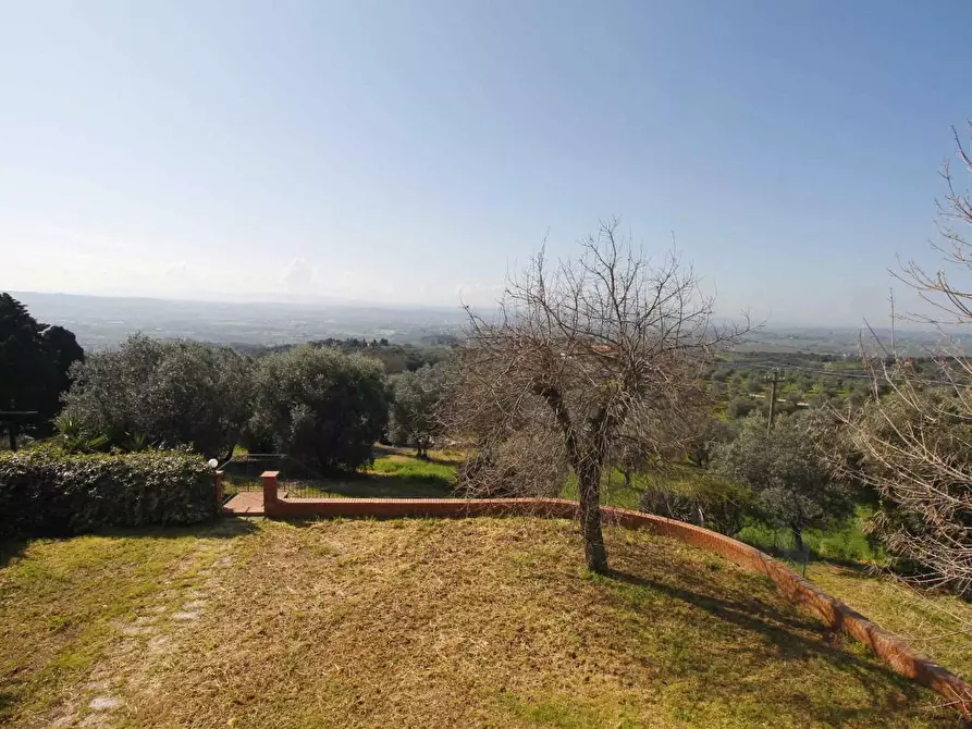 Immagine 4 di Casa colonica in vendita  a Capraia E Limite