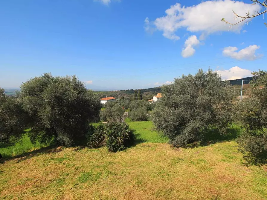 Immagine 26 di Casa colonica in vendita  a Capraia E Limite