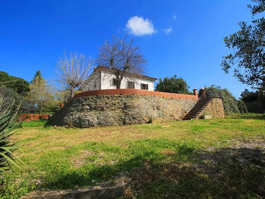 Immagine 28 di Casa colonica in vendita  a Capraia E Limite