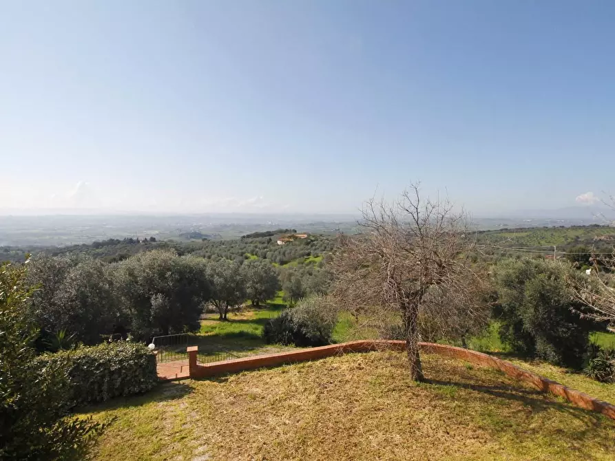 Immagine 17 di Casa colonica in vendita  a Capraia E Limite