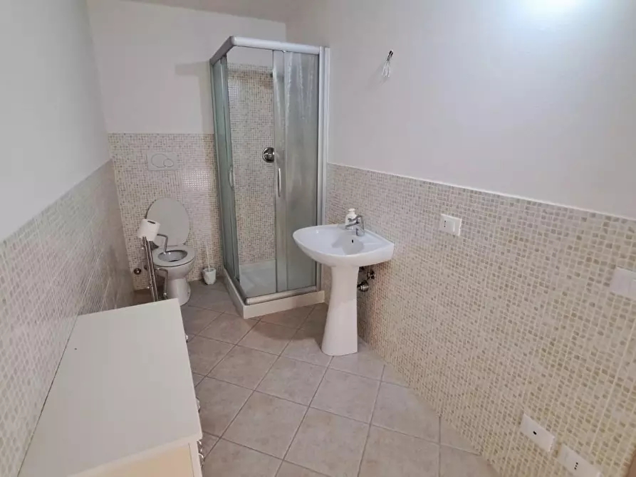 Immagine 18 di Appartamento in vendita  a Rosignano Marittimo