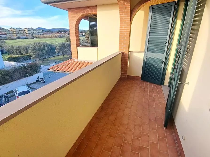 Immagine 12 di Appartamento in vendita  a Rosignano Marittimo