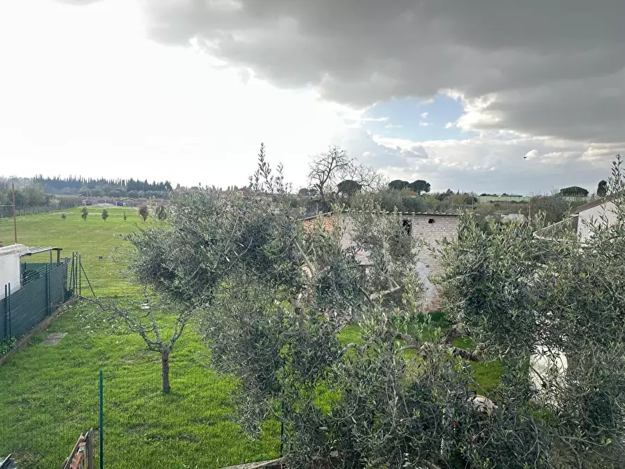 Immagine 22 di Appartamento in vendita  a Empoli