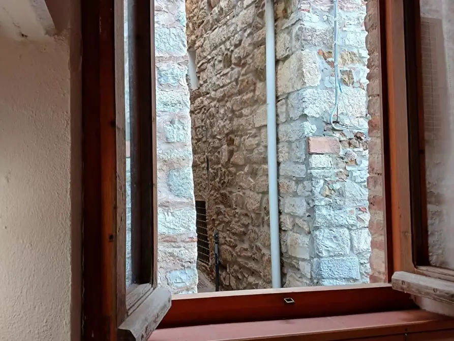 Immagine 32 di Appartamento in vendita  a Campiglia Marittima