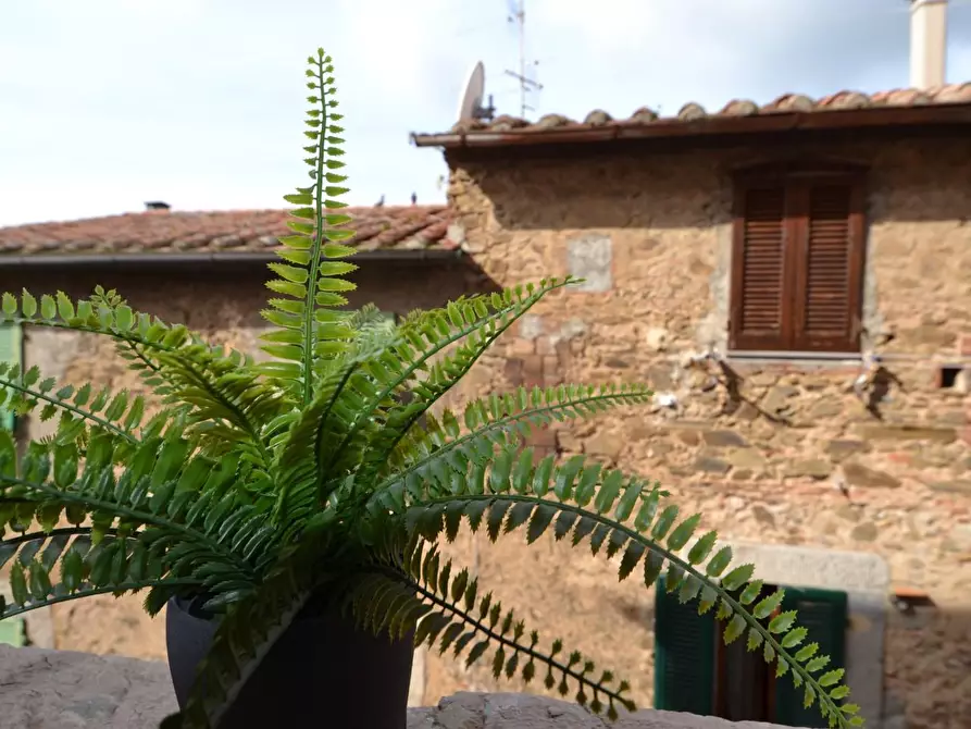 Immagine 5 di Appartamento in vendita  a Campiglia Marittima