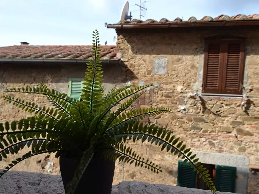 Immagine 28 di Appartamento in vendita  a Campiglia Marittima