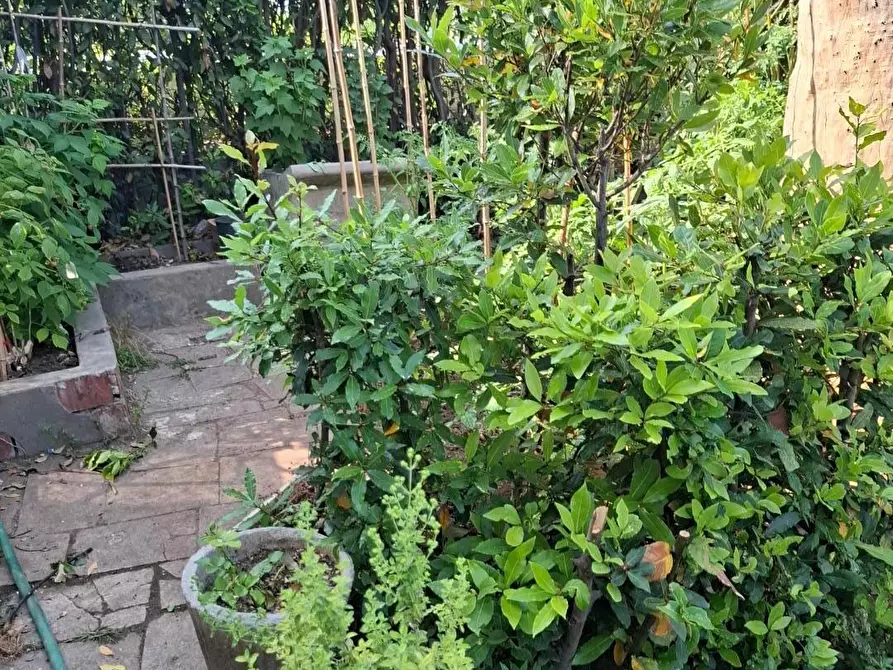 Immagine 8 di Appartamento in vendita  a Camaiore