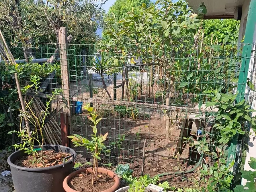 Immagine 6 di Appartamento in vendita  a Camaiore