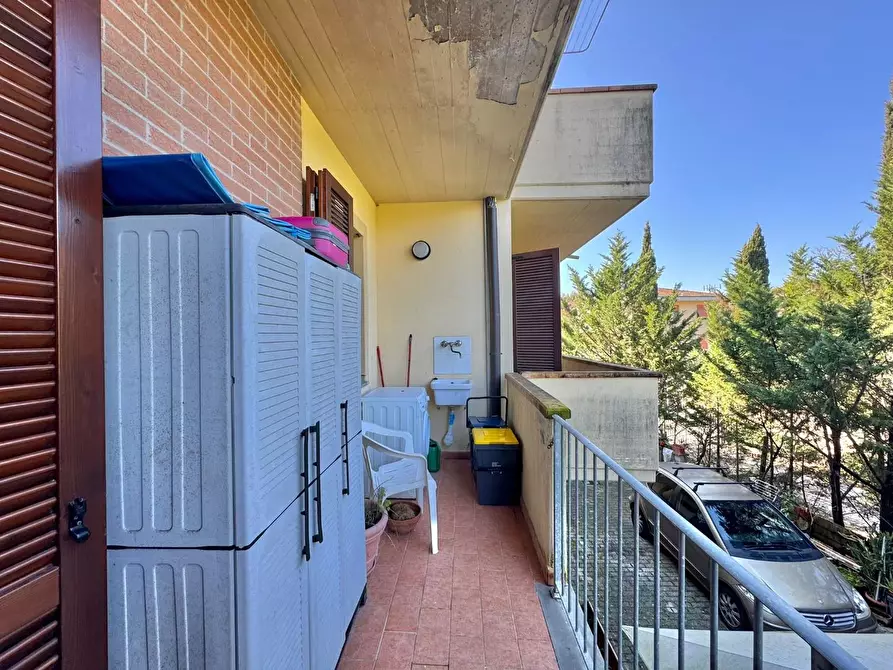 Immagine 18 di Appartamento in vendita  a Santa Maria A Monte