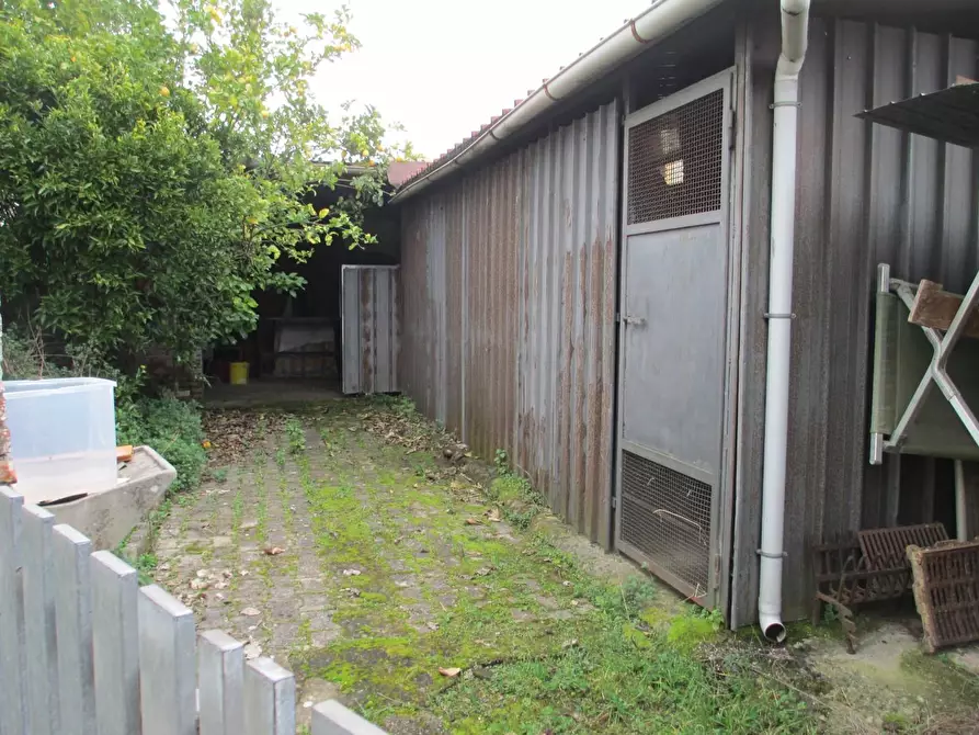 Immagine 8 di Terratetto in vendita  a Cascina