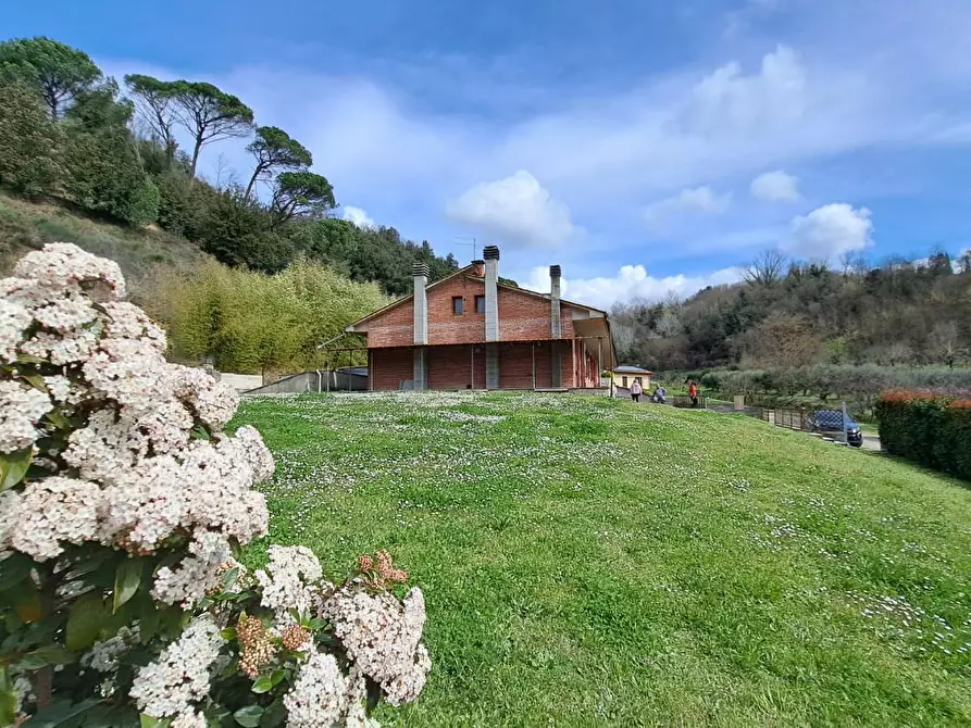 Immagine 4 di Casa bifamiliare in vendita  a Palaia