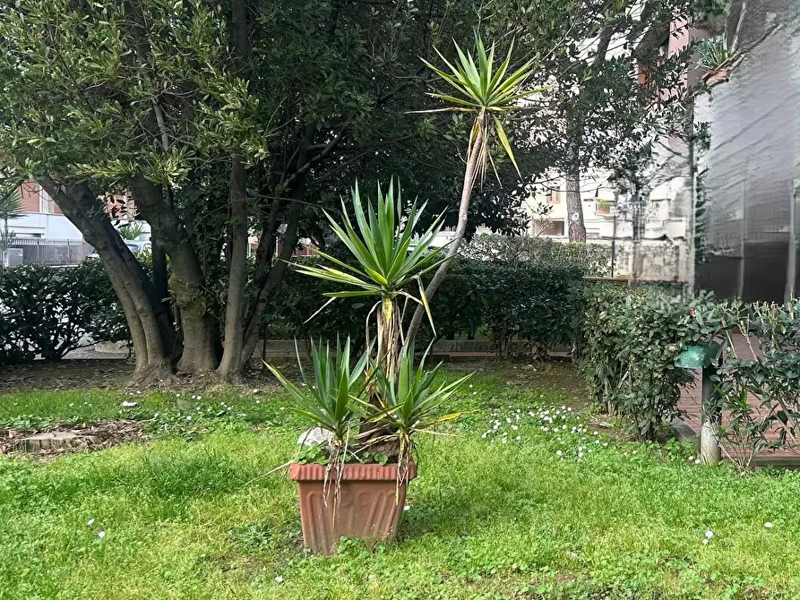 Immagine 18 di Ufficio in vendita  a Empoli