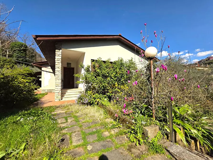 Immagine 3 di Villa in vendita  a Massa